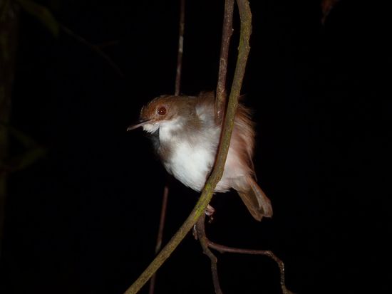 ...ups vom Blitz aufgeweckt - sorry