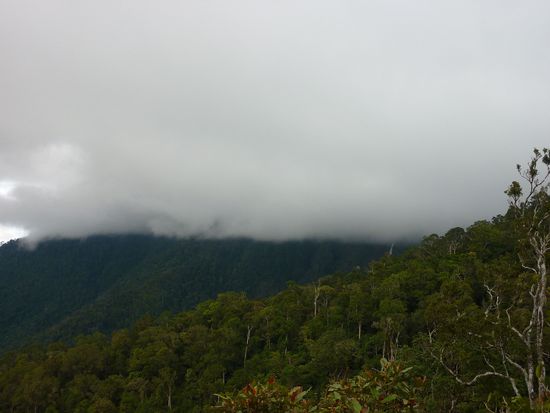 Da ist er - toll, ne? Wenn ich mir vorstelle, ich wuerde diesen Treck machen und nix sehen - wie geil ist das denn.....
