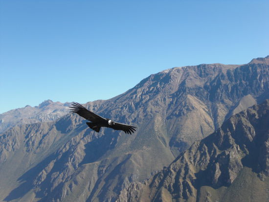 und hier noch einer!! es war wirklich toll !!