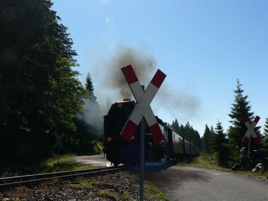 und dann raste ich noch ca 5min und unterhalte mich mich wanderern als ich dann durch zufall die brockenbahn sehe! toll, da war ich begeistert.