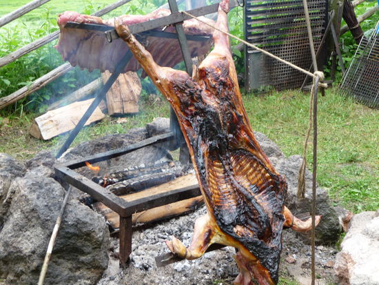Argentinisches Asador Grill mit ein Spanferkel 15 Kg und eine Kalbsrippe 11 Kg.