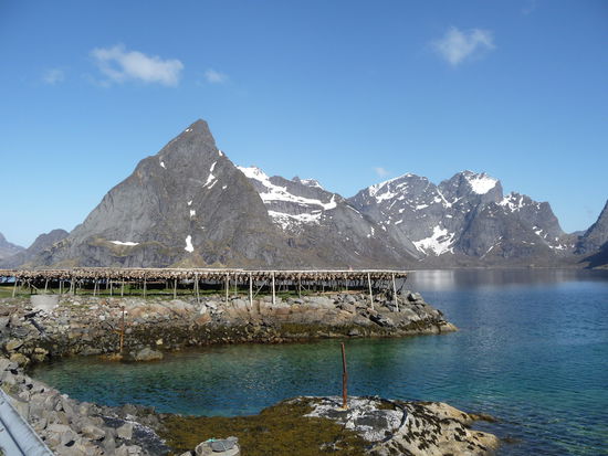 Lofoten Kabeljau auf Stelzen zum Luft trocknen