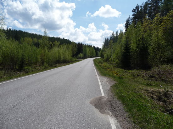 Birken und Fichten fast 1500 lang