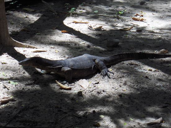 Nicht erschrecken, die tun nix!