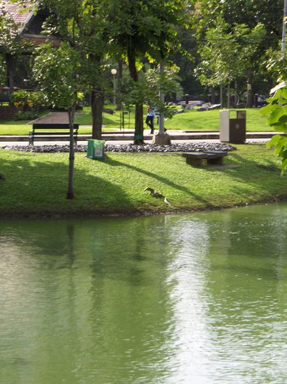 Entspannen im Lumpini-Park