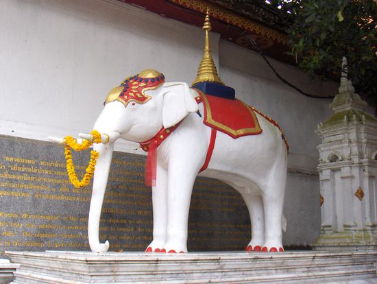 Ein heiliger weißer Elefant hat den Standort für diesen Tempel bestimmt