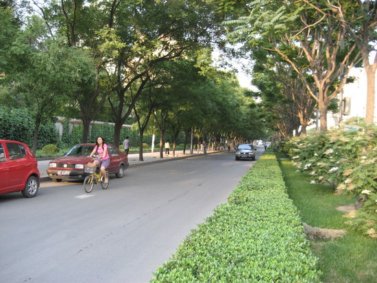 Dafür sind die extrabreiten Fahrradwege umso verlassener