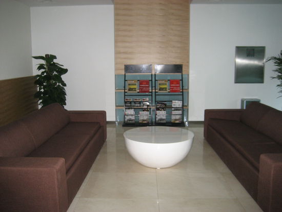 ... anscheinend werden die Wohnungen für Olympia teilweise auch wie ein Hotel verwaltet.