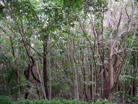 National Park Noosa
