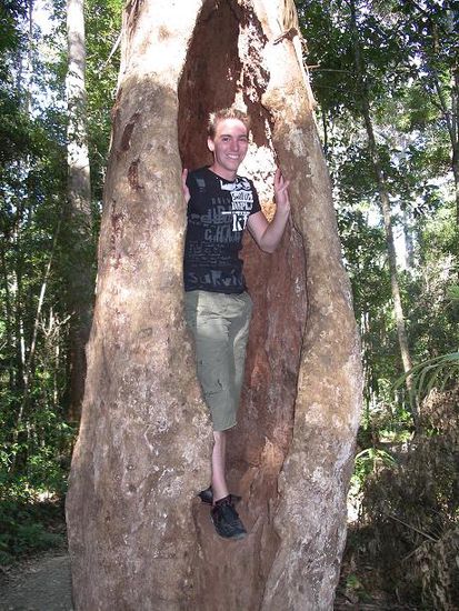 Ich im Baum