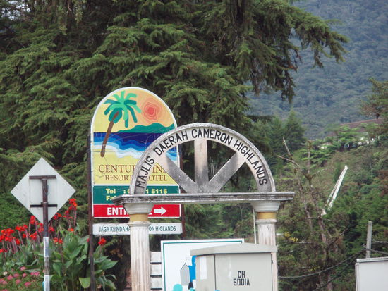 Endlich da in den Cameron Highlands