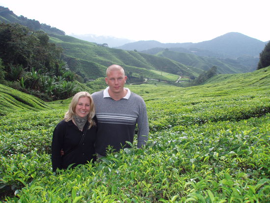 Mitten in den Teeplantagen
