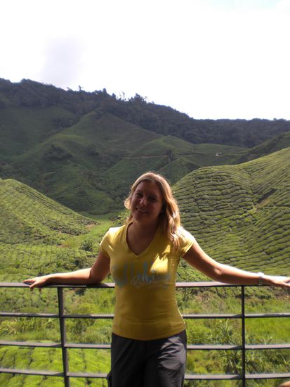 Direkt ueber den Teeplantagen der Cameron Highlands