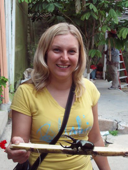 Ein kleiner Hornkaefer