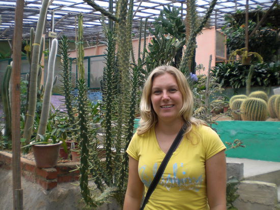 In der Butterflyfarm gab es auch riessen Kakteen