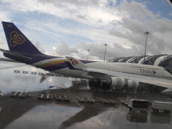 Wir sind mit Thai Airways geflogen