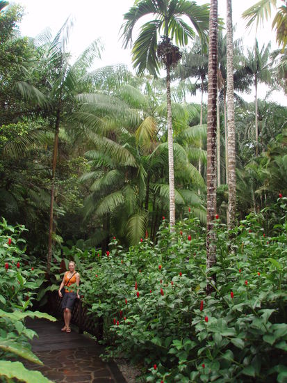 Im Botanischen Garten