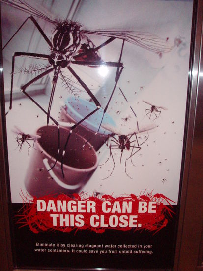 Hier wird von der Regierung gewarnt vor Dengue Fieber. Andere Schilder gibt es z. B. auch gegen Diabetis.