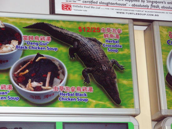 Krokodil Suppe die es bisher nur in Singapur gab