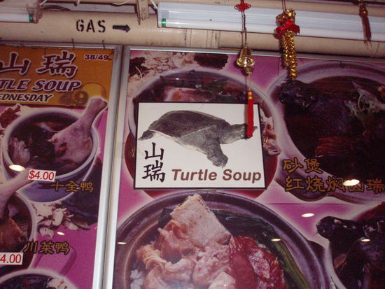 Schildkroetensuppe auch in Singapur. Leider hatte der Stand schon geschlossen ....