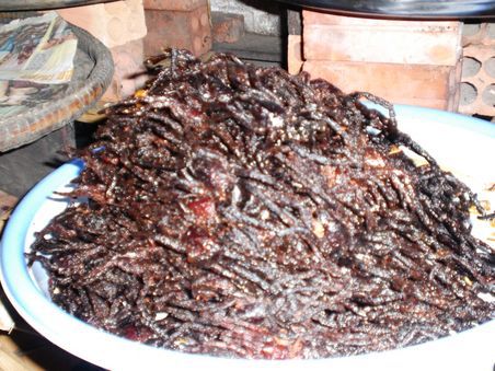 Wie wär es heute mal mit Spinne als Snack?