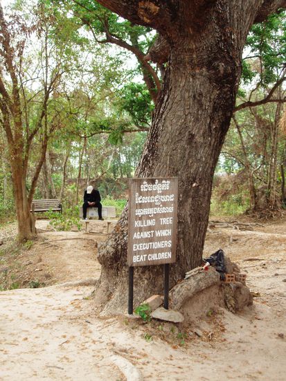An diesem Baum wurden die Babys bis zum tot dagegen geschlagen