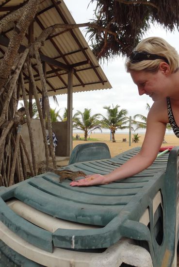 Die Streifenhörnchen bei unserer täglichen Fütterung