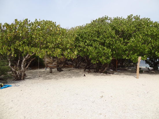 Strand von Pigeon Island