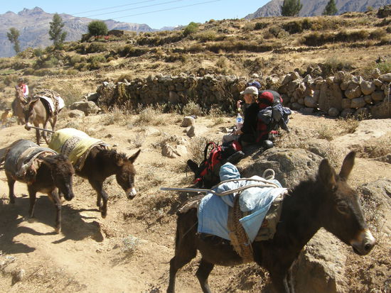 Die haetten wir dann beim Aufstieg auch gern gehabt...