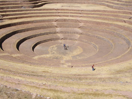 Die beiden kleinen, schwarzen in der Mitte sind Isi und Annika
