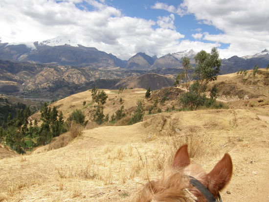 Auf dem Ruecken der Pferde...