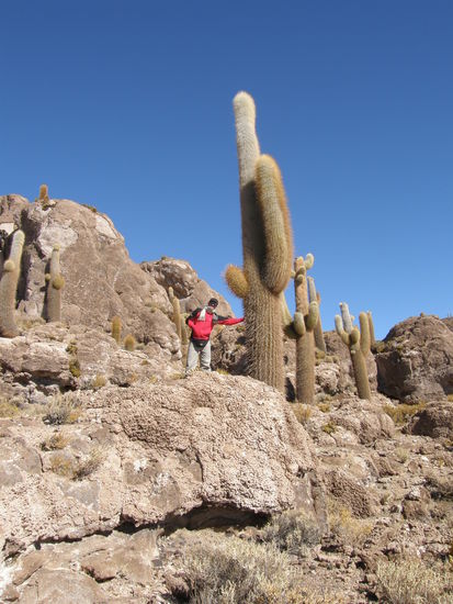 Mittagessen an der Isla Pescado mit ueber 1200 Jahre alten Kakteen