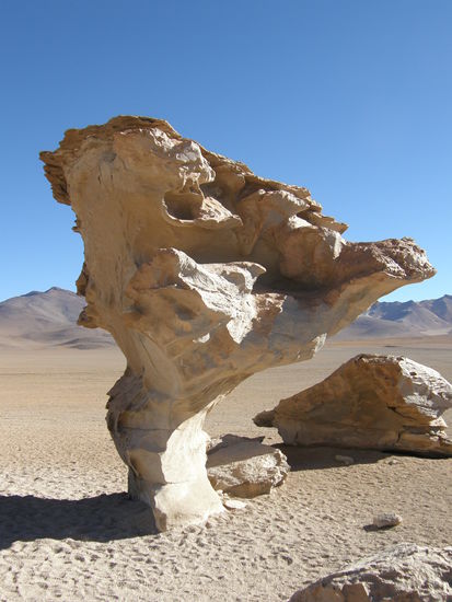 arbol de las piedras