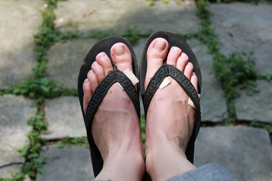 Das sind sie uebrigens - die Neuen! Wie ihr seht, haben sie Isi doch anfangs ein wenig Probleme bereitet!