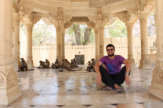 Ein Affe unter Affen