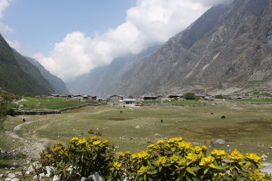 Blick auf das Dorf Langtang