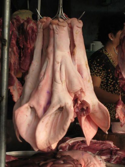 Ein paar Schweinenasen...