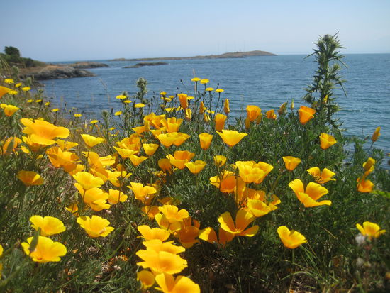 Ein Spaziergang entlang der Kueste