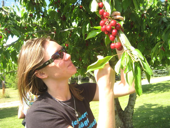 ... und Kirschen pfluecken, gehoerte auch zu unsren Aktivitaeten