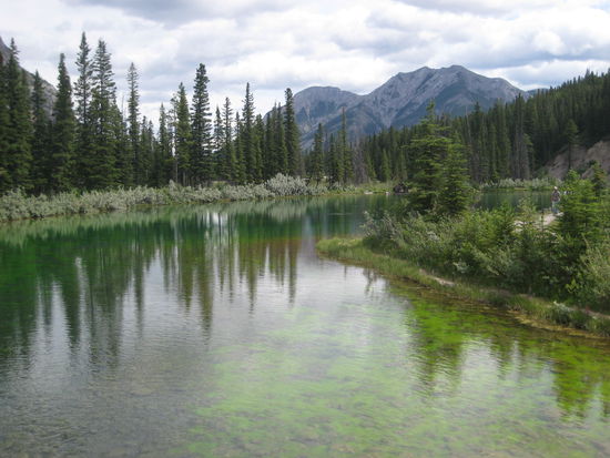 Auf dem Rueckweg in den "Kananaskis"