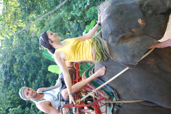 hier auf dem caramelo (babyelefant) der uns sicher durch den jungel schleppte
