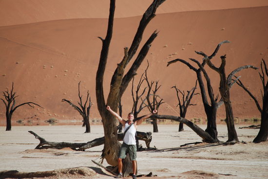 Ich und die toten Baeume.....