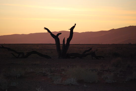 und hier der Sonnenuntergang in der Wueste.....