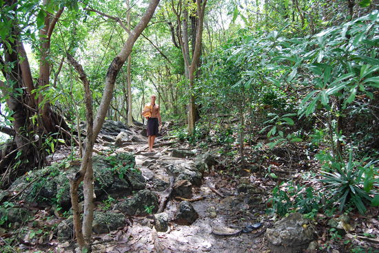 im Jungle vo Koh Samet