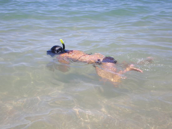 Ja und am Anfang sieht das so aus, bevors dann an die Riffs geht....