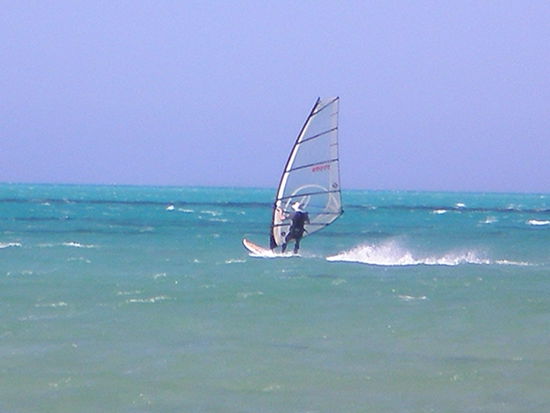 Ja und Windsurfing am Coralbeach.....