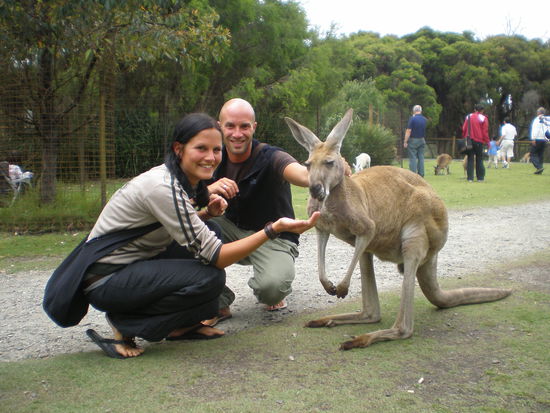 Hier schon fast ein gestelltes Bild.