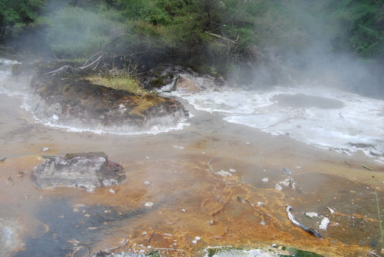 Es brodelt und brutzeld hald ueberall in Rotorua... oder wie dieser Ort auch immer heisst (hier gleich neben unserem Schlafplatz.)