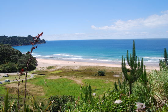 Einfach ein Traum.... Am Hot Water Beach (Ostkueste der Nordinsel)