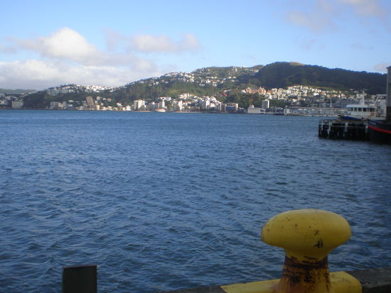 Blick vom Hafen auf Wellington